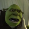 #shrek meme «🐸 by 18