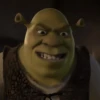 #shrek meme «🐸 by 22