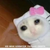The crying cat 18
