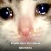 The crying cat 20