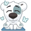 Dog 21