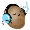 Potato 21