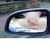 The crying cat 22