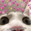 Kitty :: 22