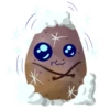 Potato 22