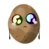 Potato 23