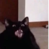 Aaaa — 26
