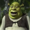 #shrek meme «🐸 by 28