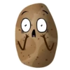 Potato 27