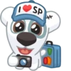 Dog 28