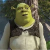 #shrek meme «🐸 by 29