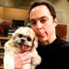 The Big Bang Theory 29