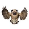 Strange Animals 5