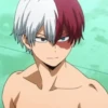 ◈『Shoto Todoroki』◈ 5