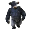 Strange Animals 7