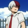 ◈『Shoto Todoroki』◈ 7