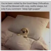pls don delet good stikers 7