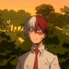 ◈『Shoto Todoroki』◈ 8