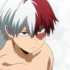 ◈『Shoto Todoroki』◈ 9