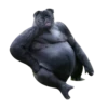 Strange Animals 8
