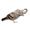 Strange Animals 10