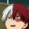 ◈『Shoto Todoroki』◈ 10