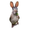 Strange Animals 11