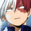 ◈『Shoto Todoroki』◈ 11