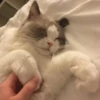 @stikercfortg :: 6