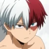 ◈『Shoto Todoroki』◈ 13