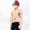 ◈『Shoto Todoroki』◈ 14