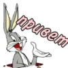Bunny | via sticked.app 12