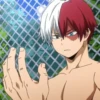 ◈『Shoto Todoroki』◈ 16
