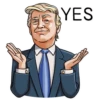 Mr. Trump 10