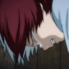 ◈『Shoto Todoroki』◈ 17