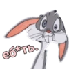 Bunny | via sticked.app 14
