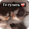 мемы и тд 14