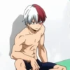 ◈『Shoto Todoroki』◈ 18