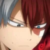◈『Shoto Todoroki』◈ 19