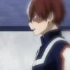 ◈『Shoto Todoroki』◈ 20