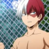 ◈『Shoto Todoroki』◈ 21