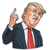 Mr. Trump 13