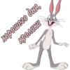 Bunny | via sticked.app 20
