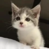 @stikercfortg :: 11