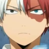 ◈『Shoto Todoroki』◈ 23