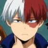 ◈『Shoto Todoroki』◈ 24