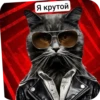 НехYR by 25