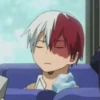 ◈『Shoto Todoroki』◈ 26