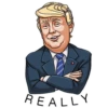 Mr. Trump 20