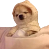pls don delet good stikers 21